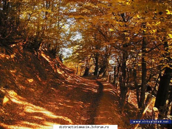 Poze cu diferite peisaje - barkenita - Photos