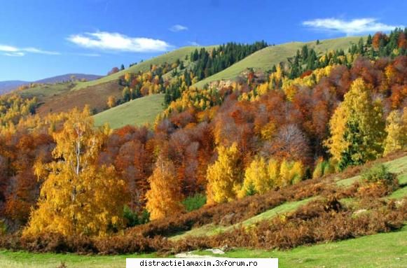 Poze cu diferite peisaje - barkenita - Photos